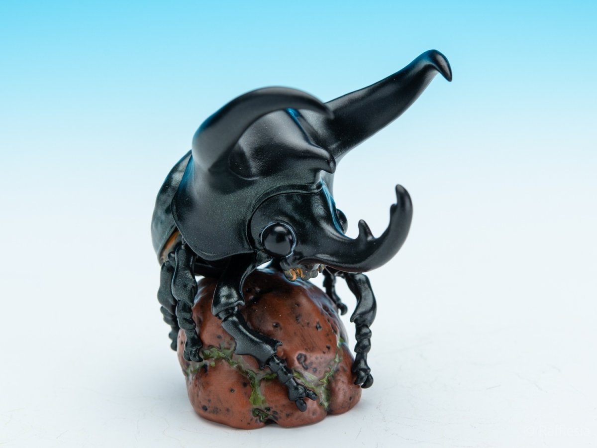 画像2: アトラスオオカブト (2)