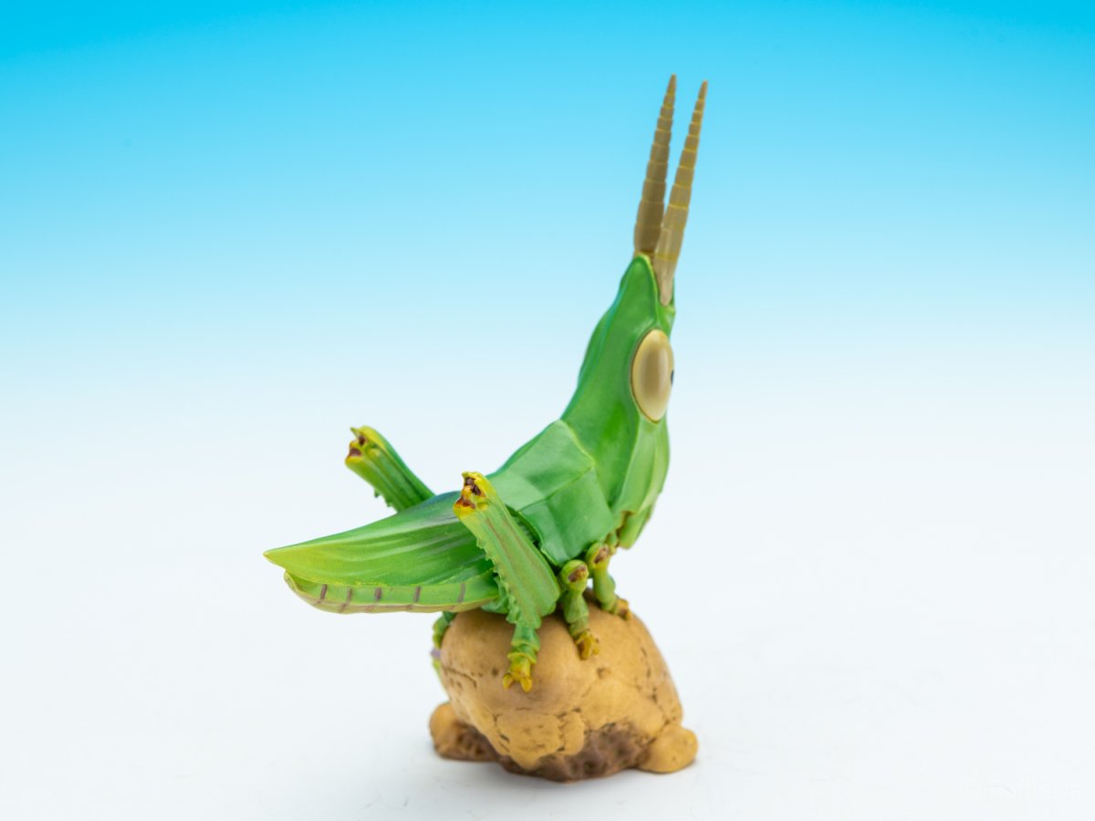 画像5: ショウリョウバッタ【動画あり】 (5)