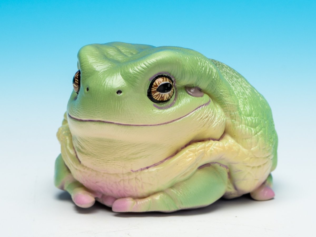 画像3: イエアメガエル（爺さん） (3)