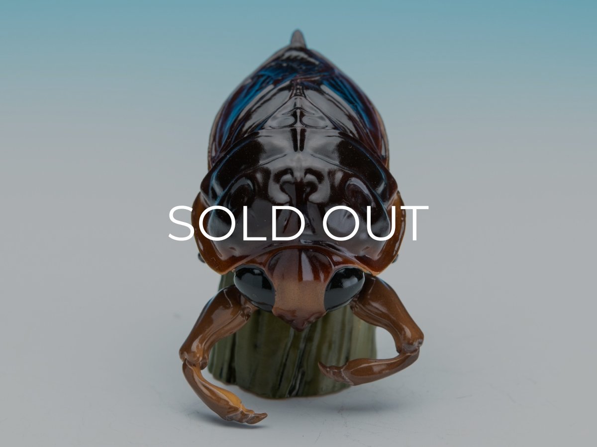 画像3: タガメ (3)