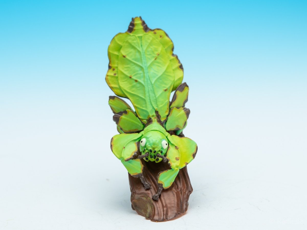 画像2: コノハムシ【動画あり】 (2)