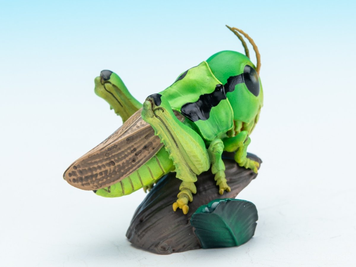 画像5: イナゴ【動画あり】 (5)