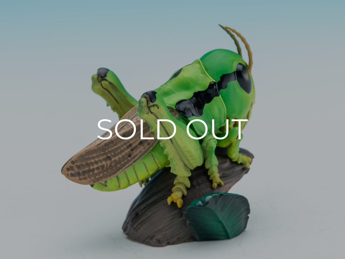 画像5: イナゴ【動画あり】 (5)