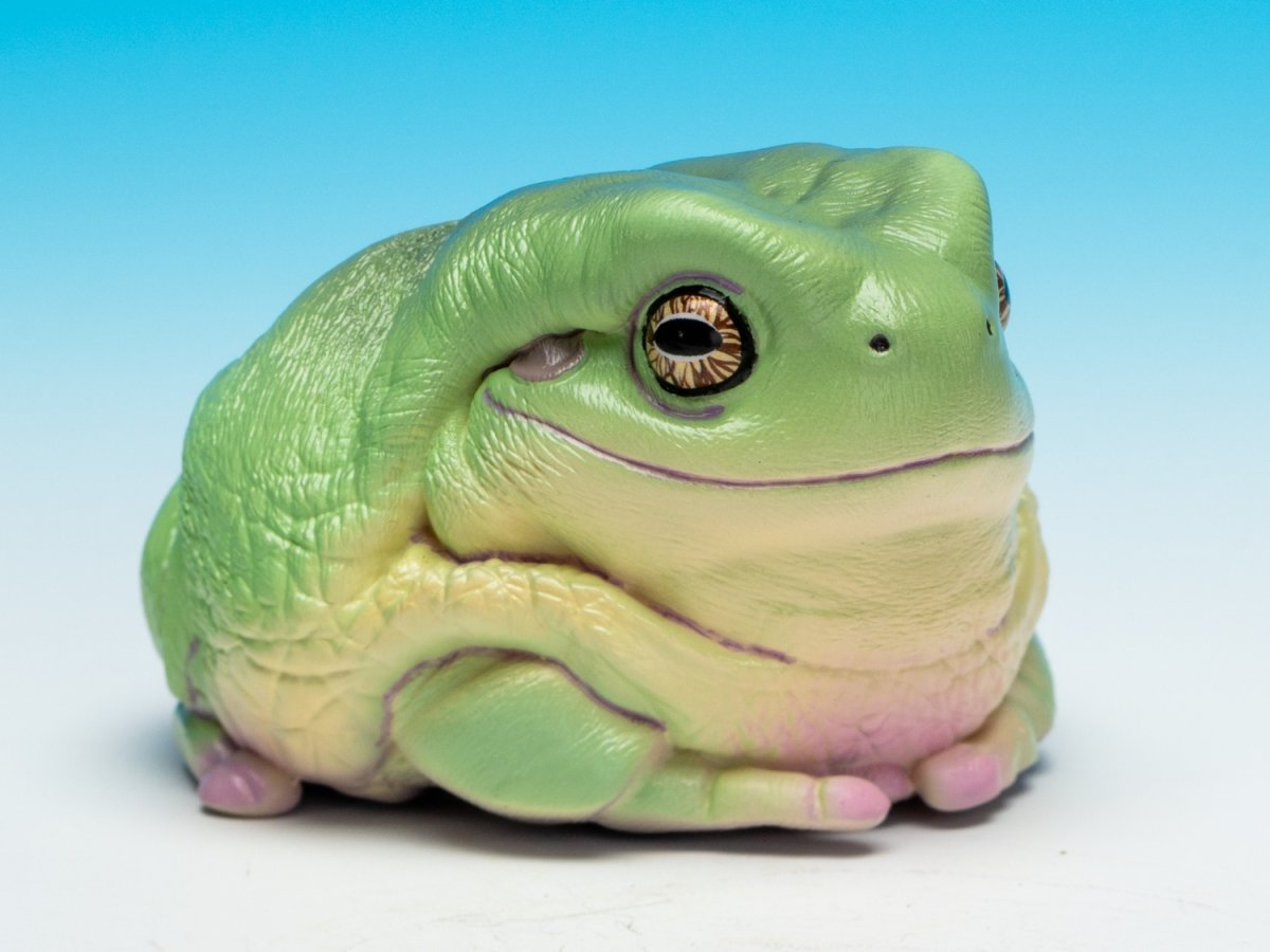 画像10: イエアメガエル（爺さん） (10)