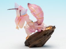 画像3: ハナカマキリ (3)