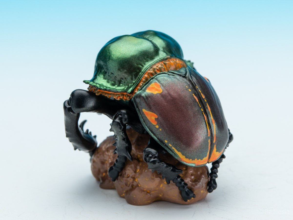 画像5: ヤンバルテガネコガネ【動画あり】 (5)