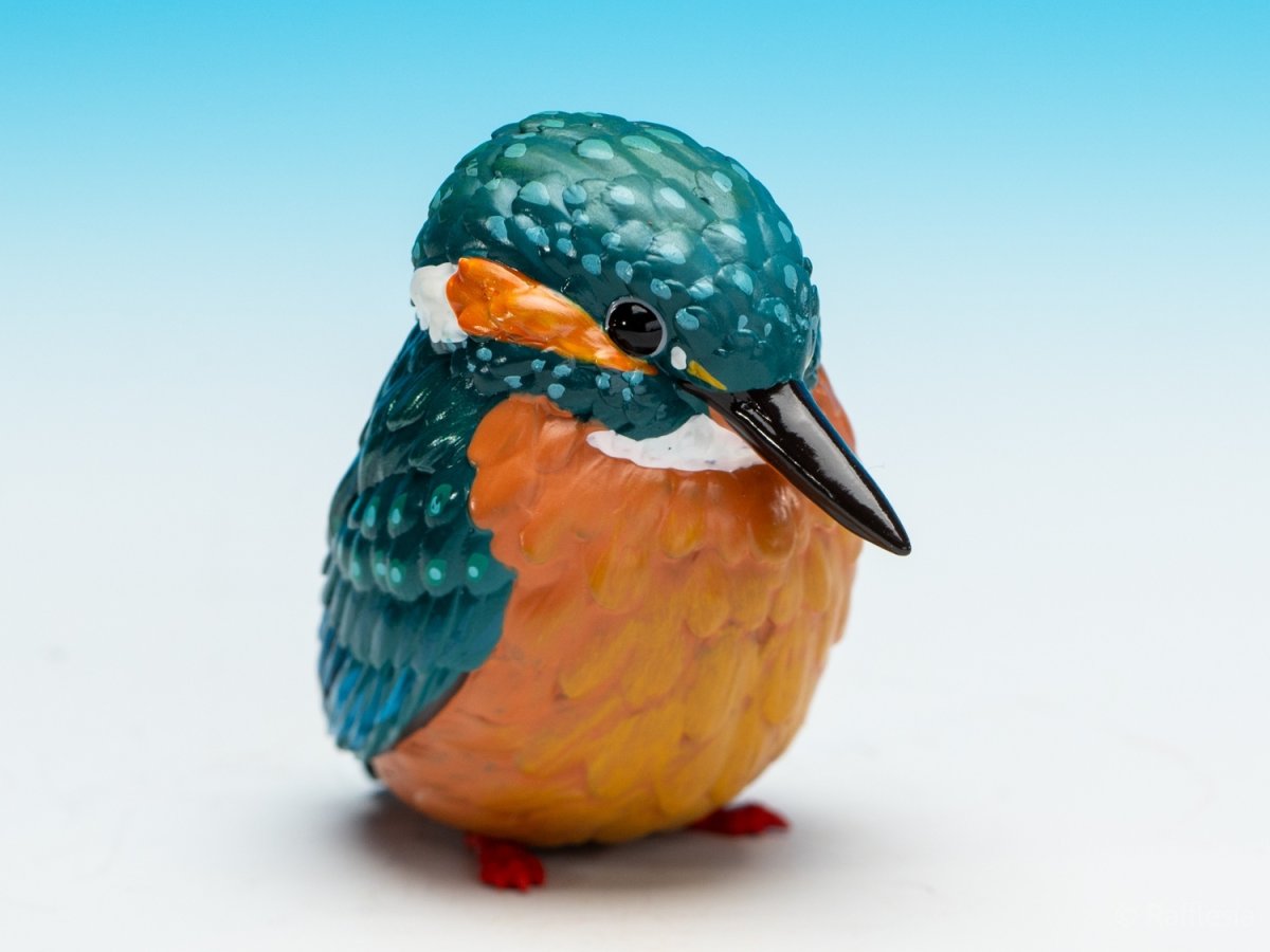 画像7: カワセミ (7)