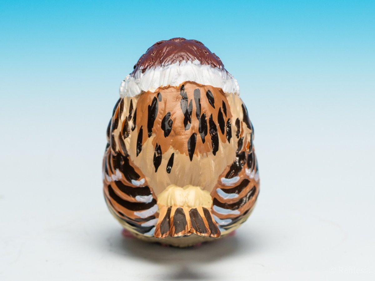 画像4: スズメ (4)