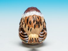 画像4: スズメ (4)
