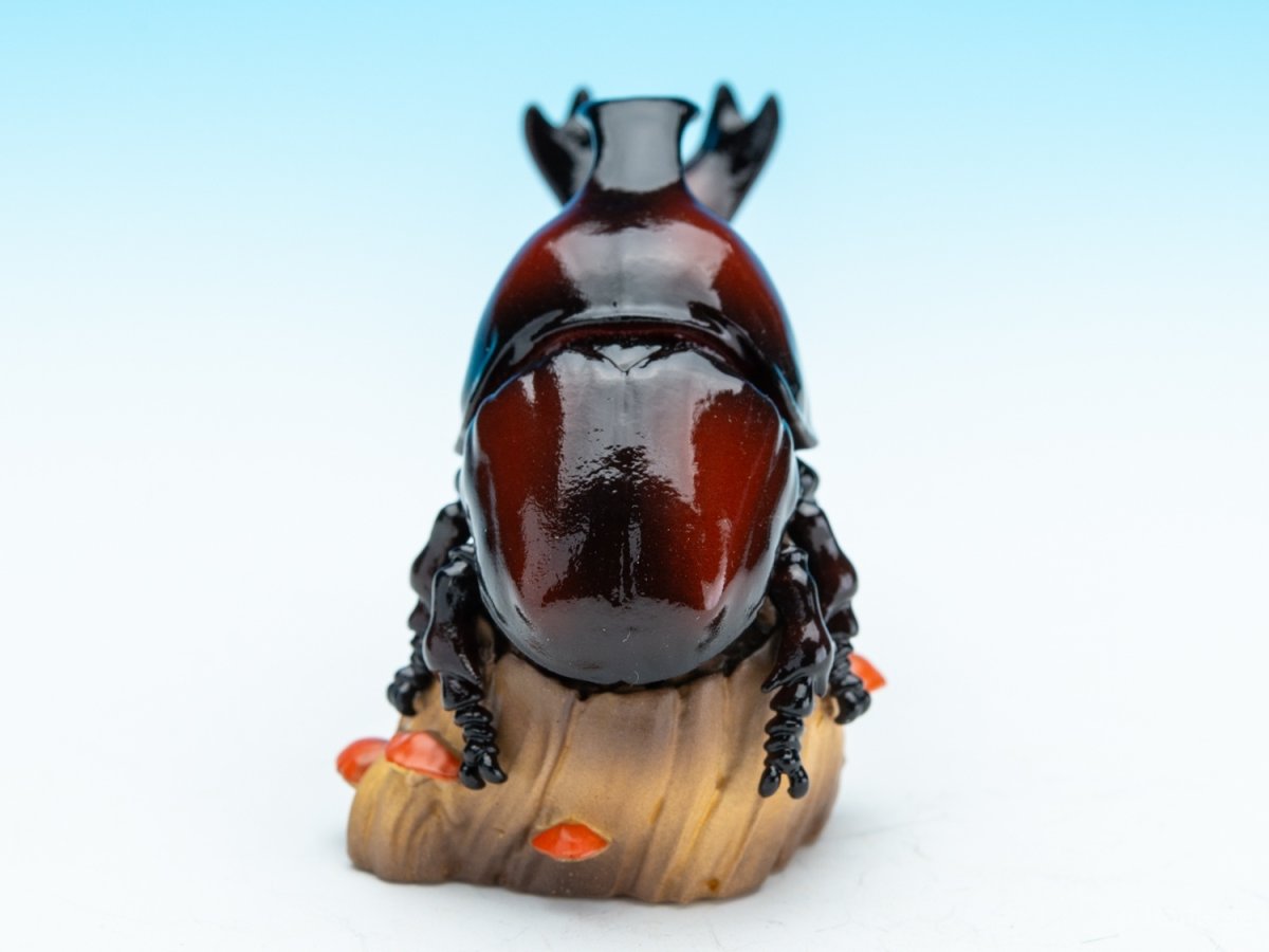 画像4: カブトムシ (4)