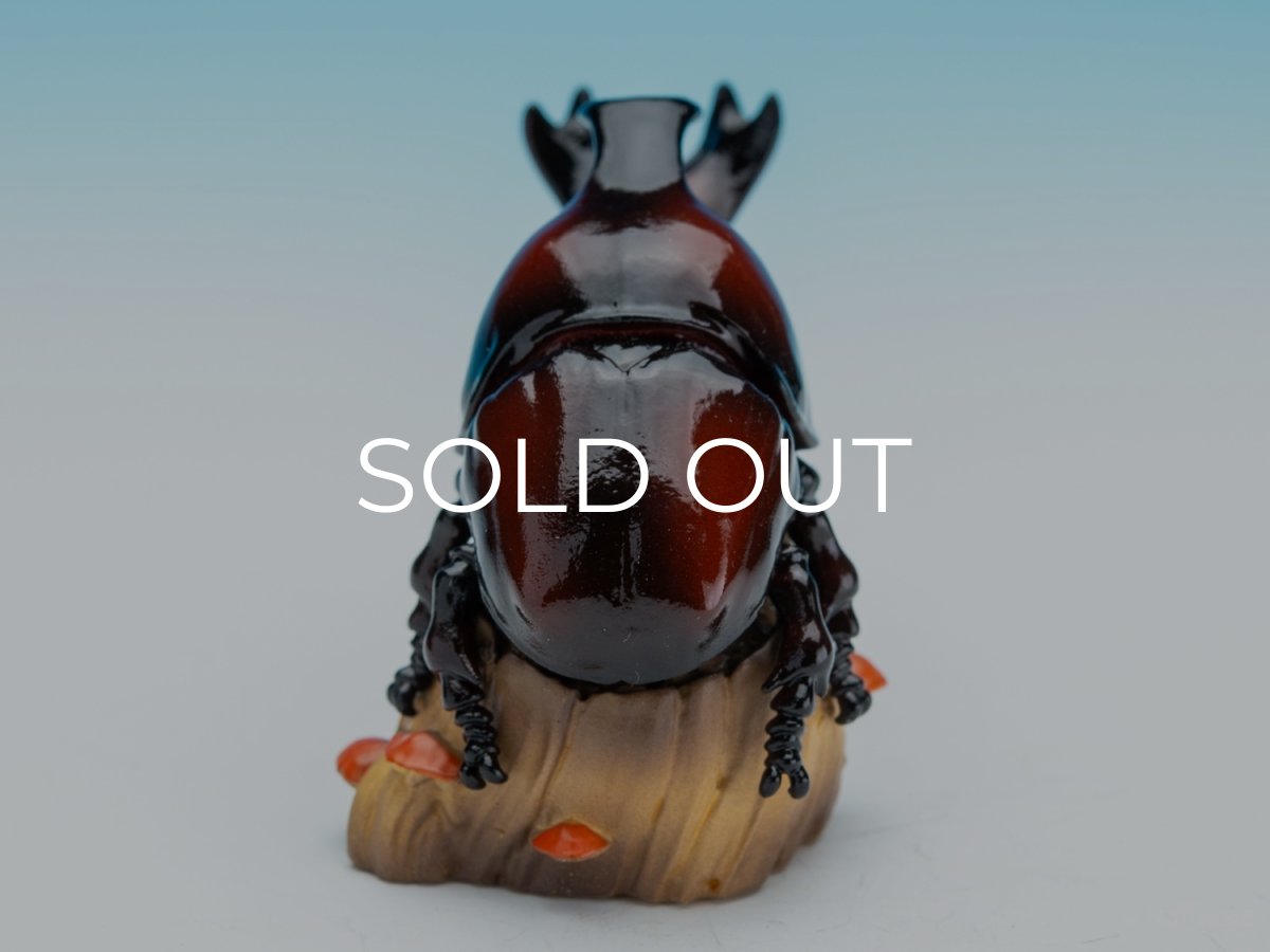 画像4: カブトムシ (4)