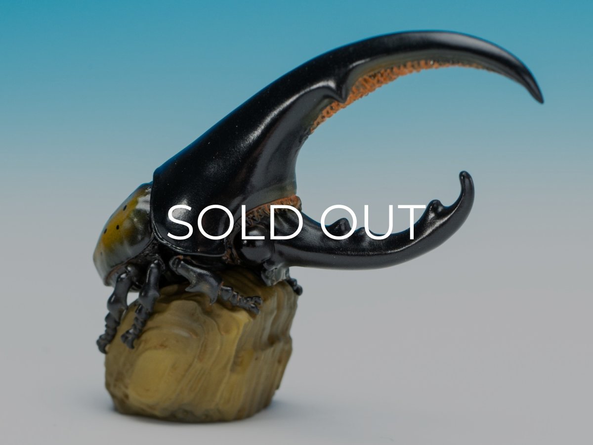 画像1: ヘラクレスオオカブト（黄） (1)