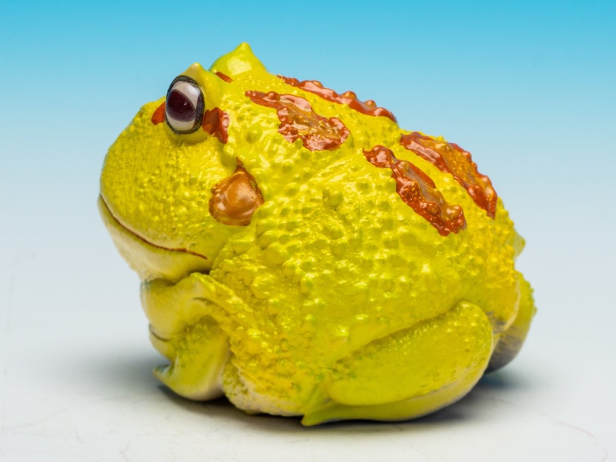 画像5: クラウンウェルツノガエル（ピカチュウ） (5)