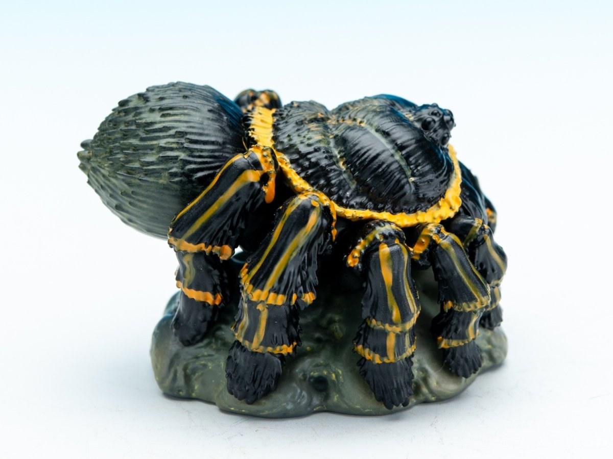 画像8: ブラジリアンジャイアントブロンド【動画あり】 (8)