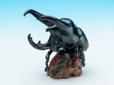 画像1: アトラスオオカブト (1)