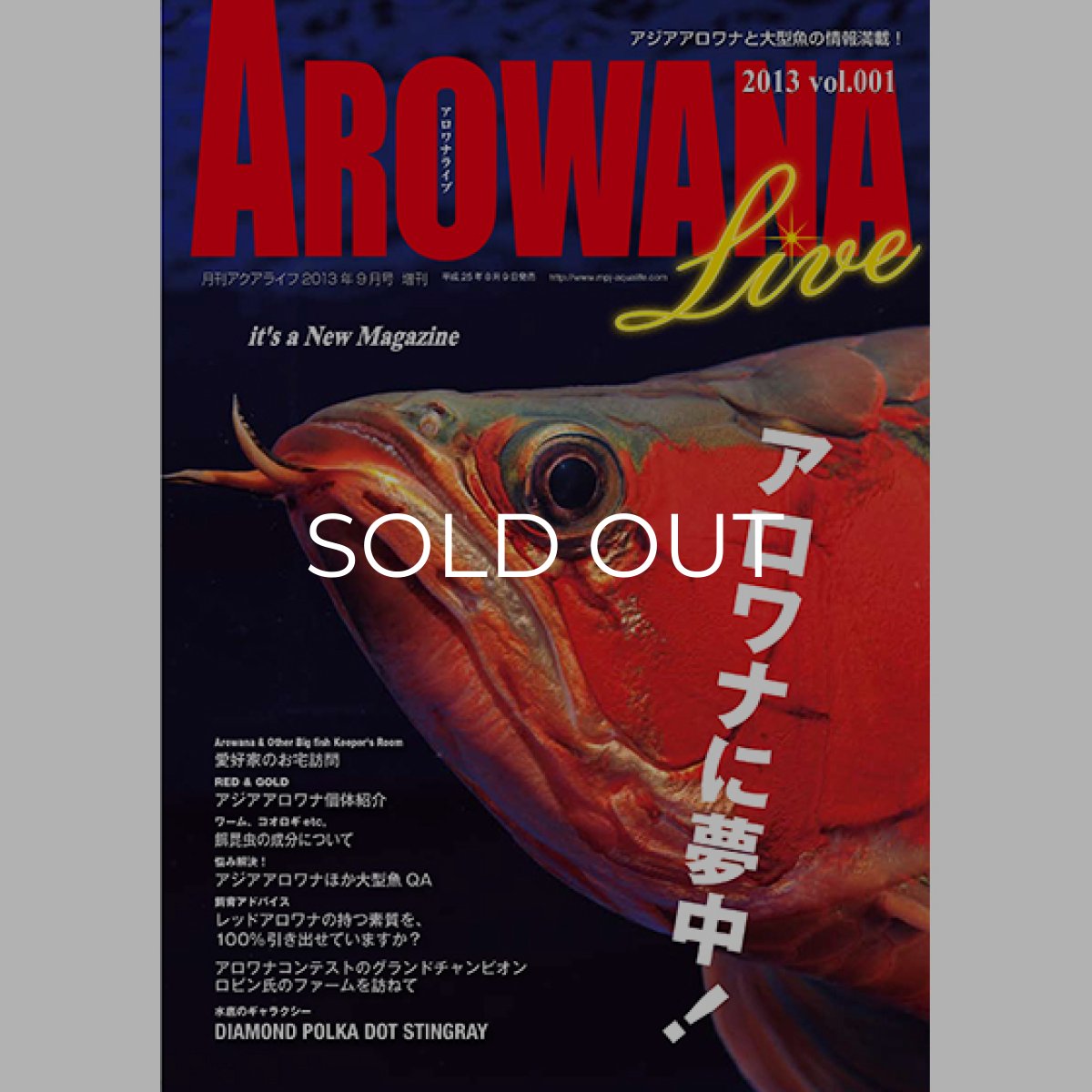 画像1: アロワナライブ　VOL.１ (1)