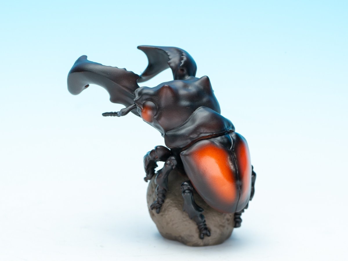 画像4: パリーフタマタクワガタ【動画あり】 (4)