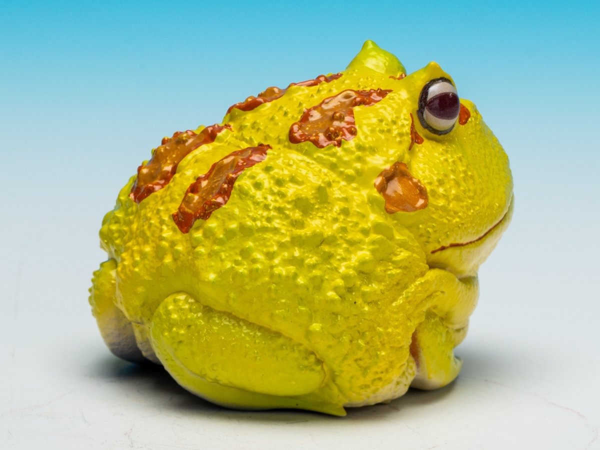 画像8: クラウンウェルツノガエル（ピカチュウ） (8)