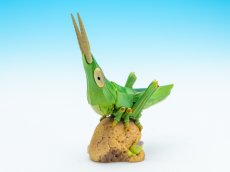 画像1: ショウリョウバッタ (1)