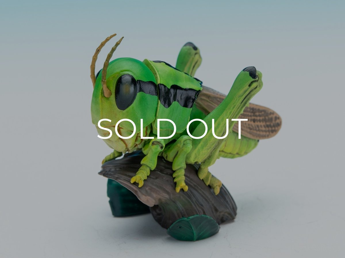 画像1: イナゴ【動画あり】 (1)