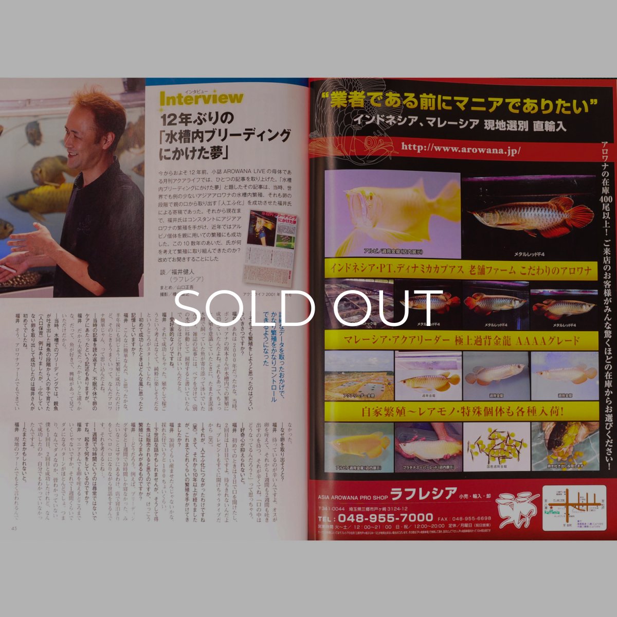 画像2: アロワナライブ　VOL.１ (2)