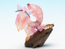 画像1: ハナカマキリ (1)