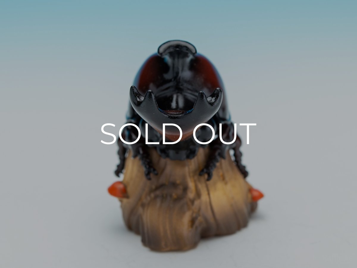 画像7: カブトムシ (7)