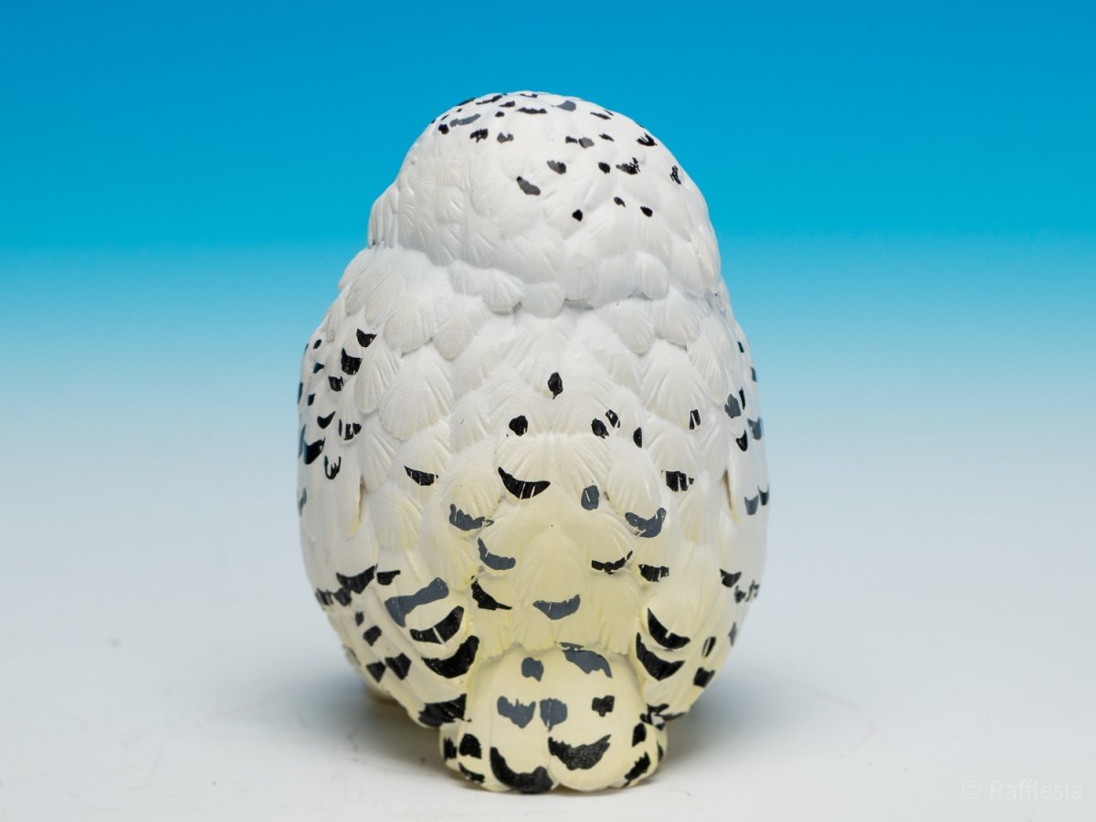 画像5: シロフクロウ【動画あり】 (5)