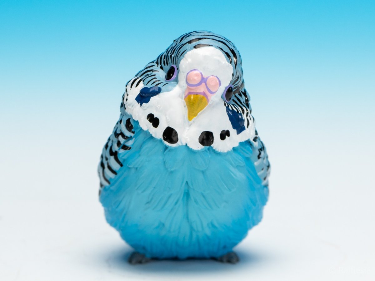 画像3: セキセイインコ（青） (3)