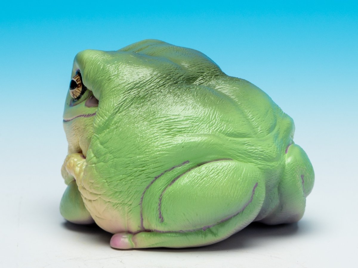 画像6: イエアメガエル（爺さん） (6)