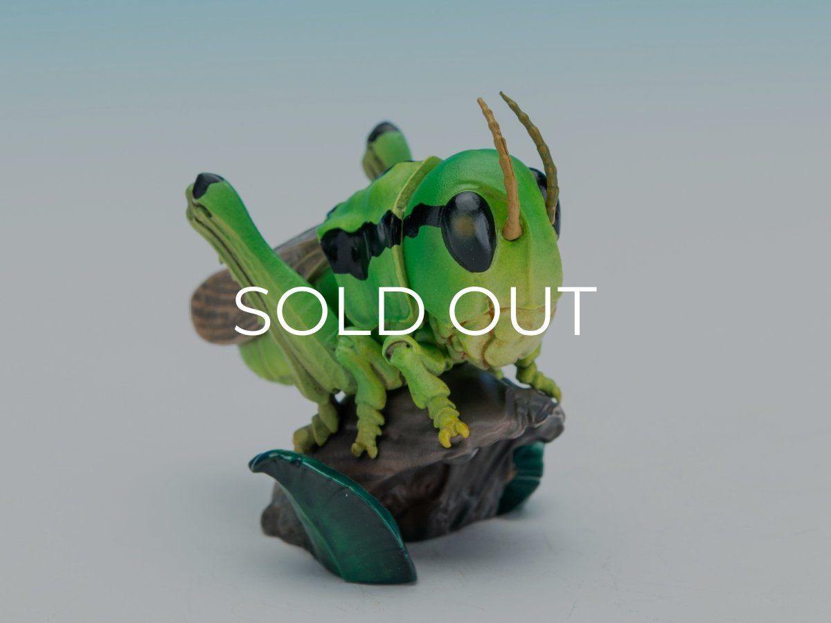 画像7: イナゴ【動画あり】 (7)