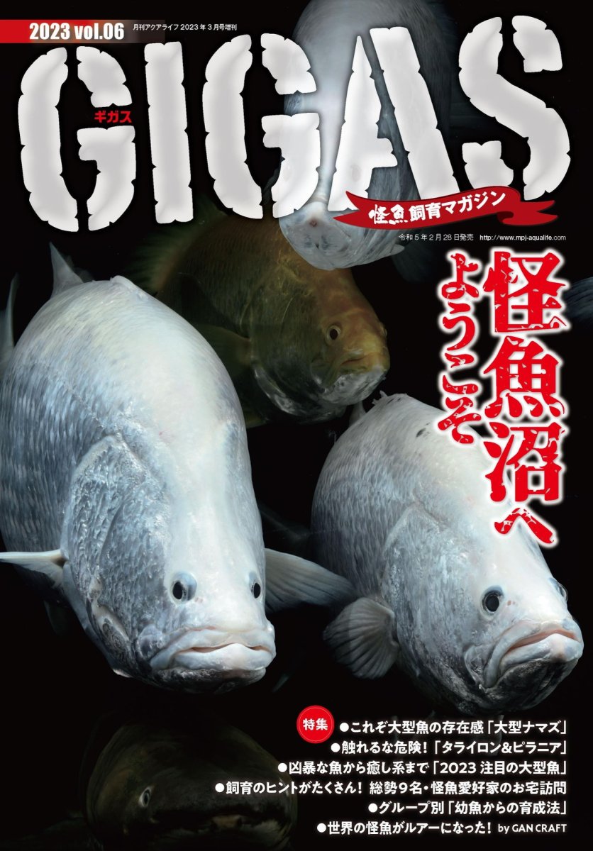 画像1: GIGAS　Vol.6 (1)