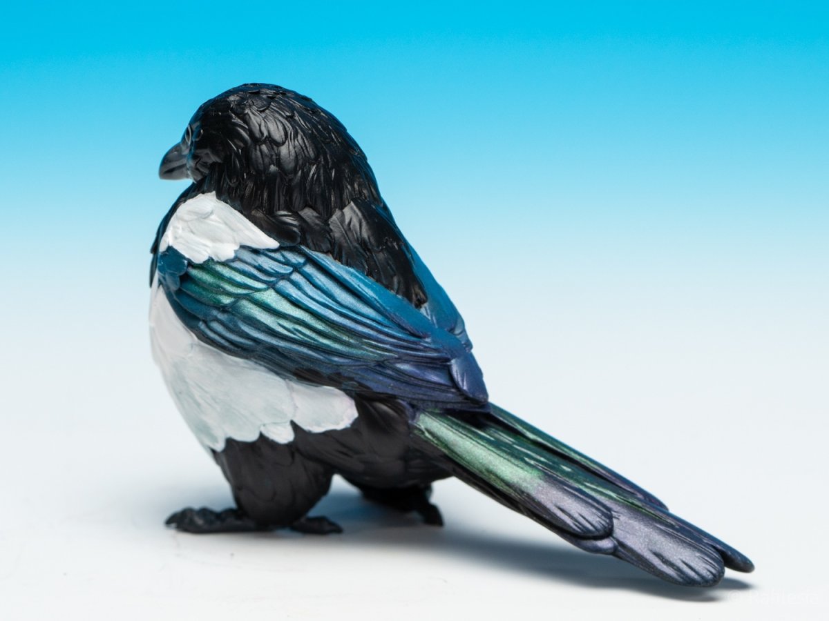 画像3: カササギ (3)