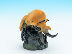 画像1: エレファスゾウカブト (1)