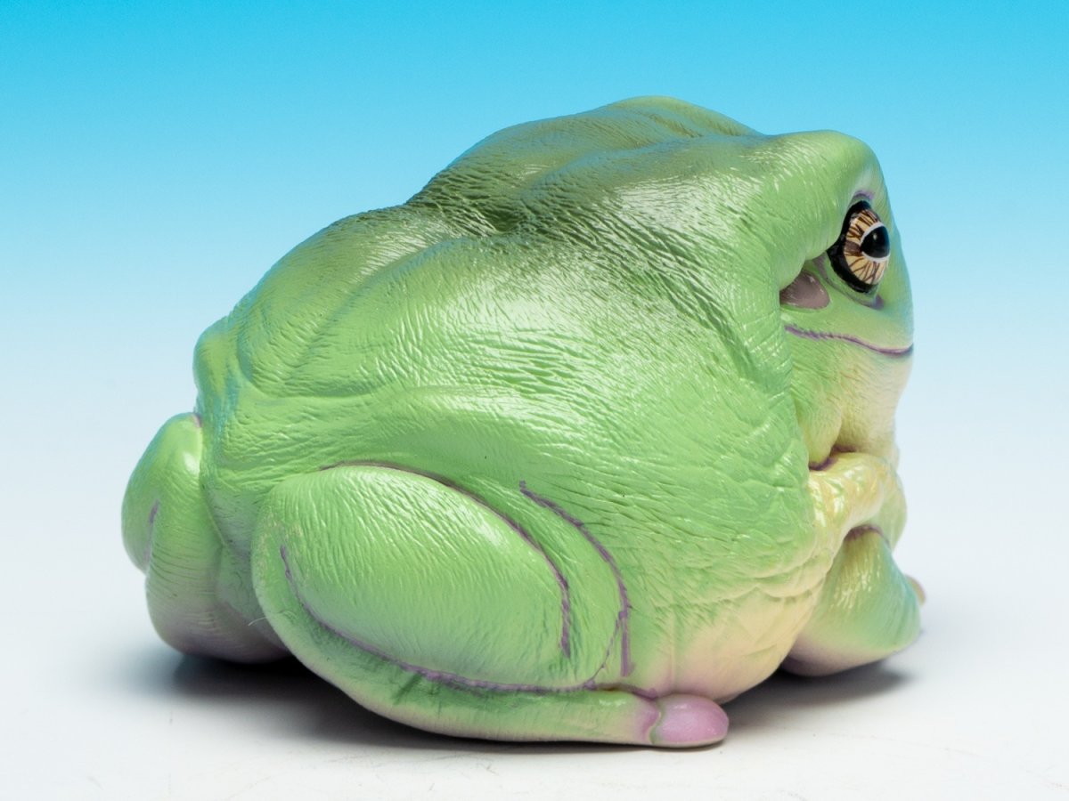 画像8: イエアメガエル（爺さん） (8)