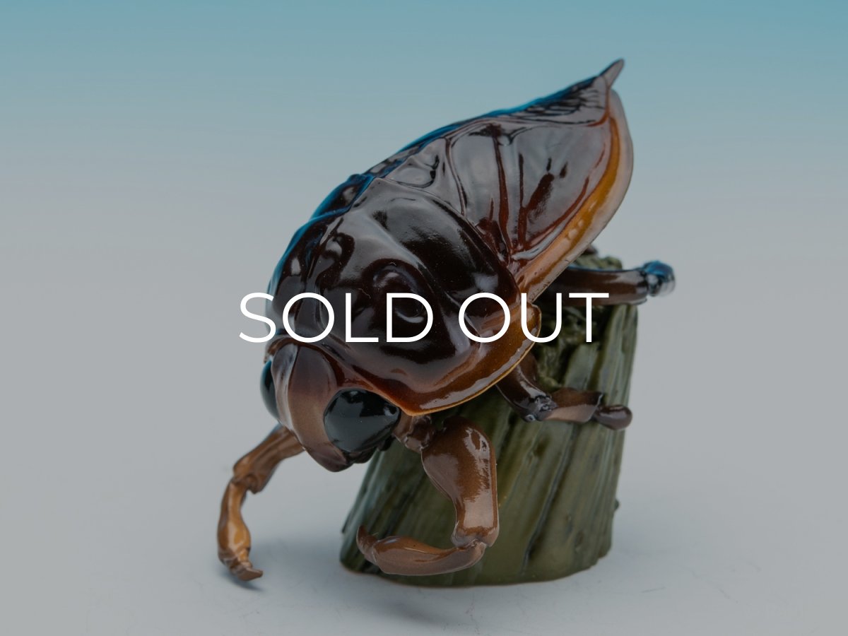 画像4: タガメ (4)