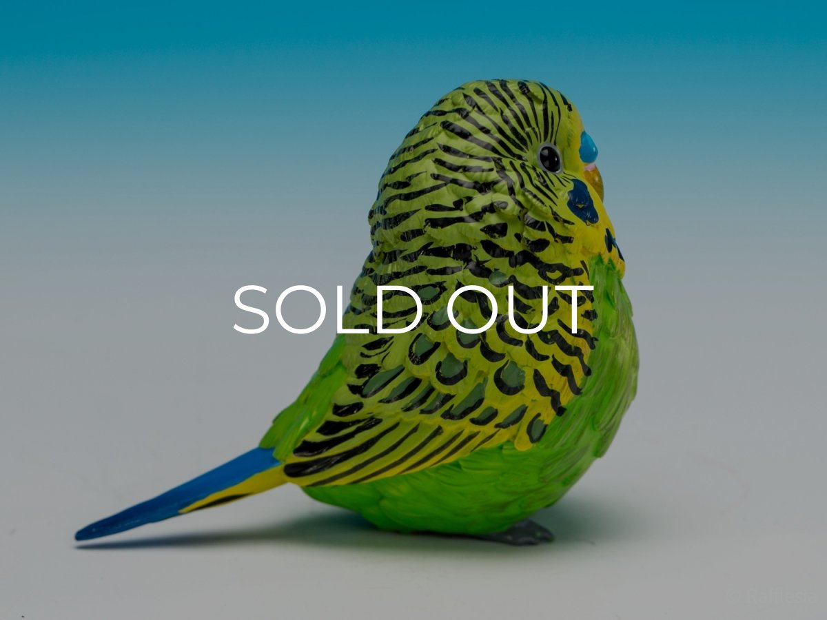 画像9: セキセイインコ（緑） (9)