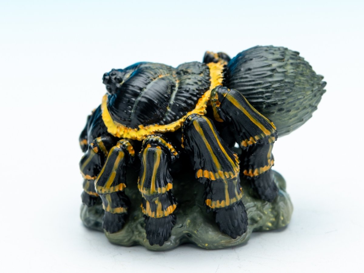 画像4: ブラジリアンジャイアントブロンド【動画あり】 (4)