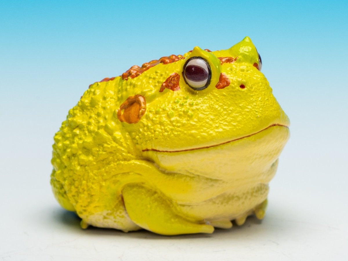 画像10: クラウンウェルツノガエル（ピカチュウ） (10)