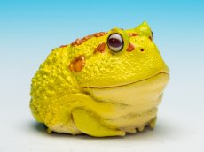 画像10: クラウンウェルツノガエル（ピカチュウ） (10)