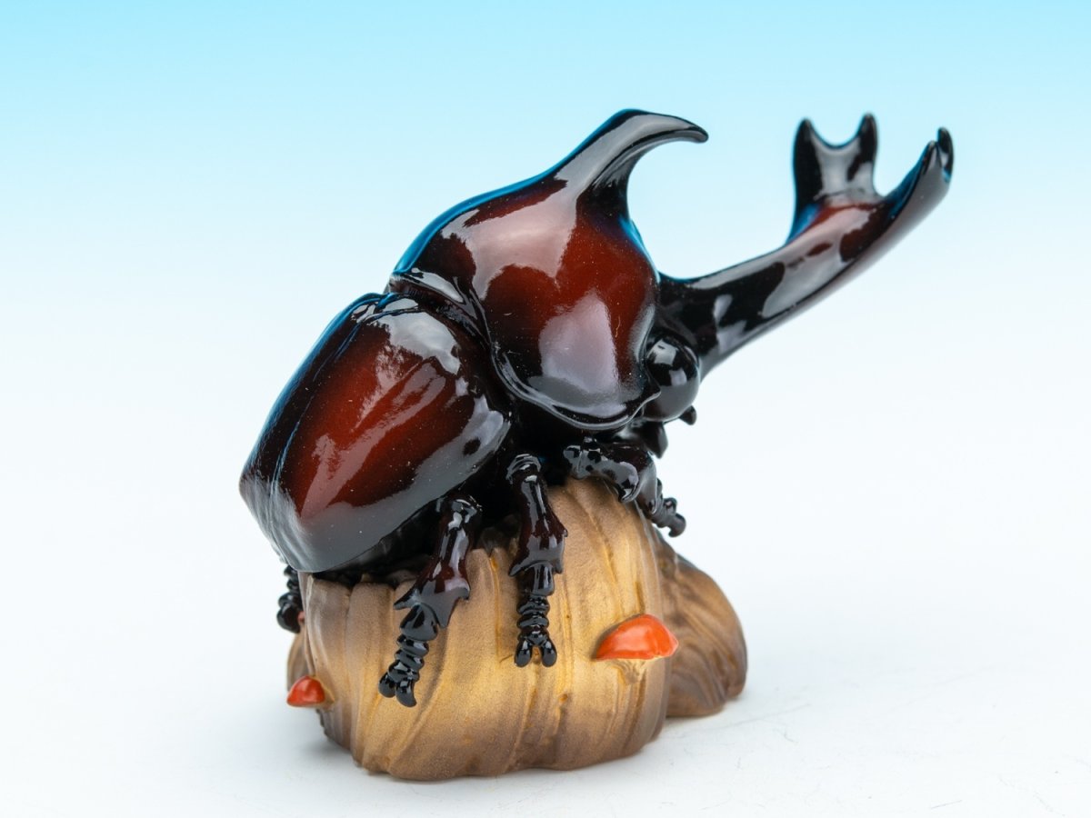 画像5: カブトムシ (5)