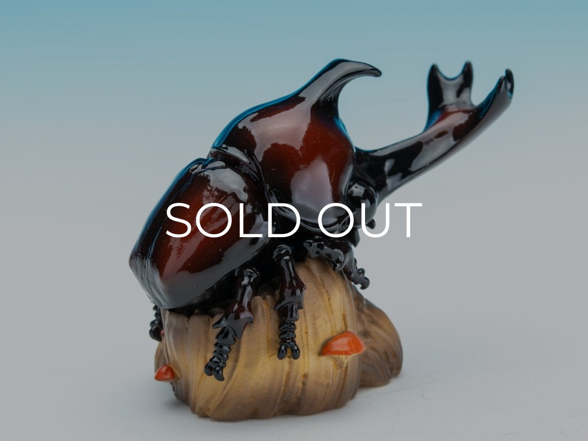 画像5: カブトムシ (5)