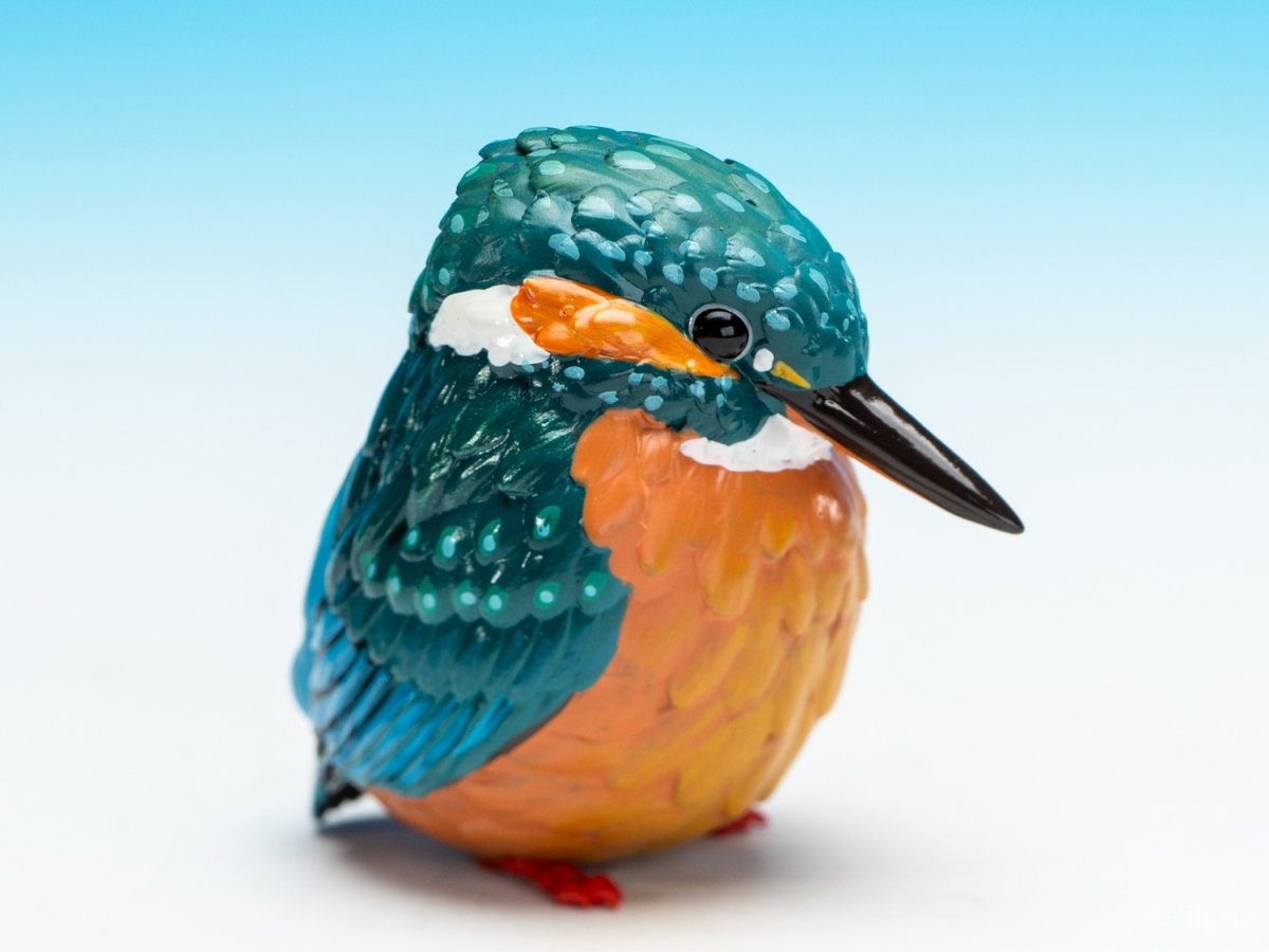 画像8: カワセミ (8)