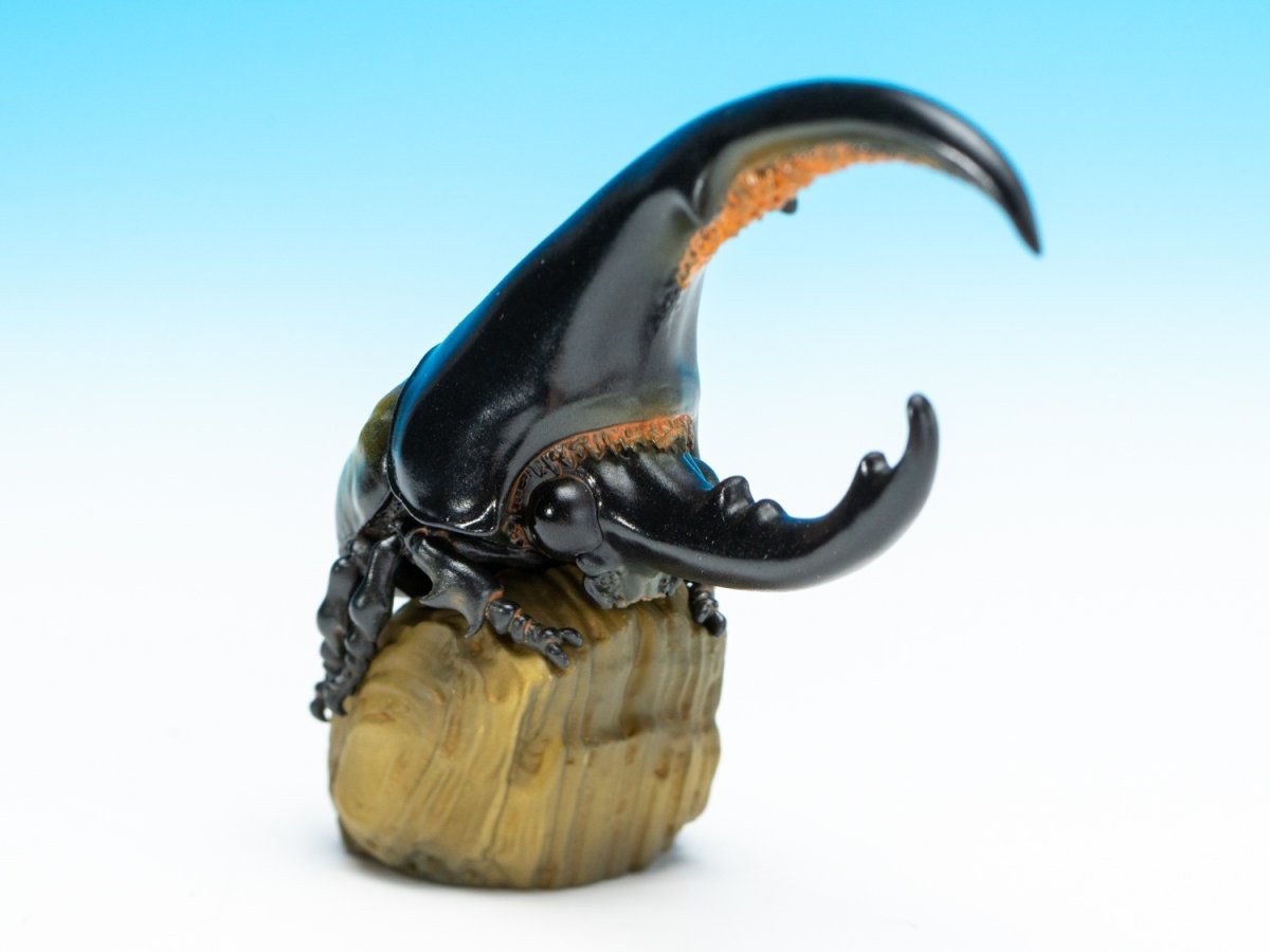 画像2: ヘラクレスオオカブト（黄） (2)