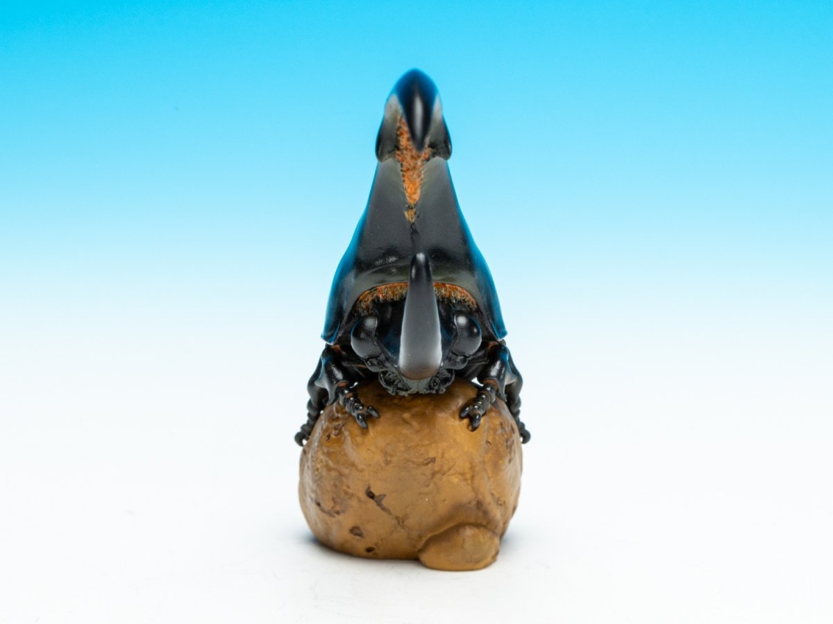 画像3: ヘラクレスオオカブト（黒） (3)