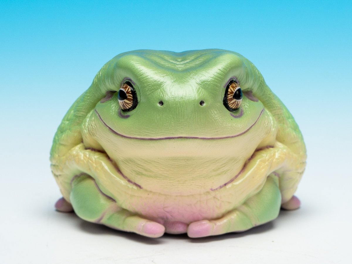 画像2: イエアメガエル（爺さん） (2)