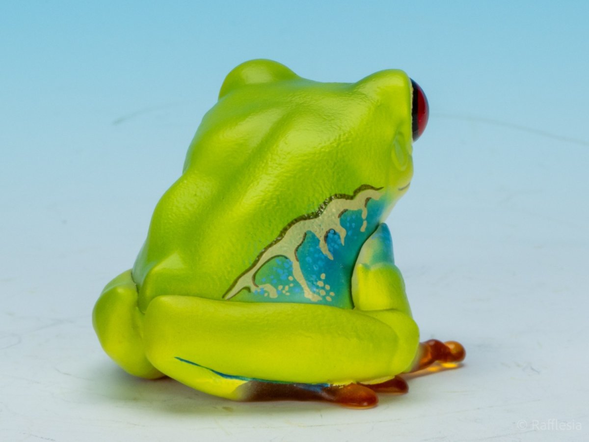 画像4: アカメアマガエル (4)