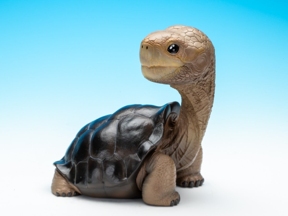 画像2: ピンタゾウガメ LET'S爬体！ (2)