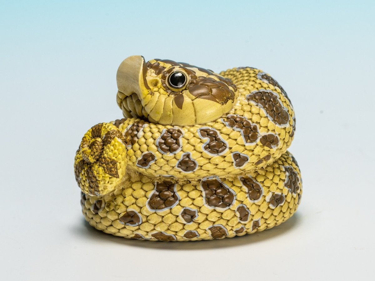 画像8: セイブシシバナヘビ（オリジナル） (8)