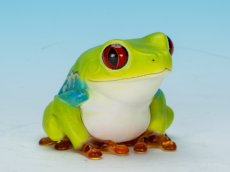 画像1: アカメアマガエル (1)
